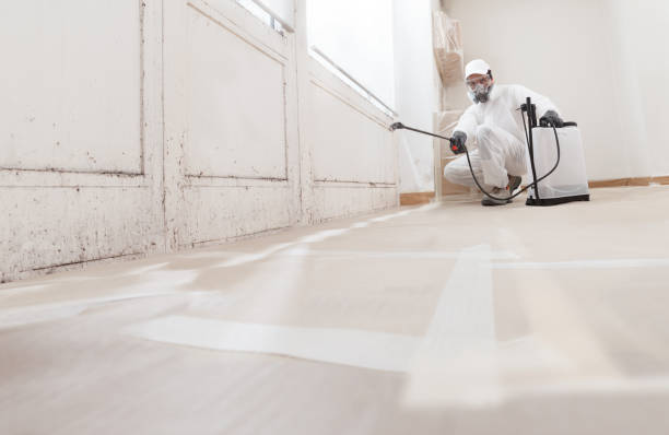 24/7 Emergency Black Mold Removal experts in Jefferson, OR